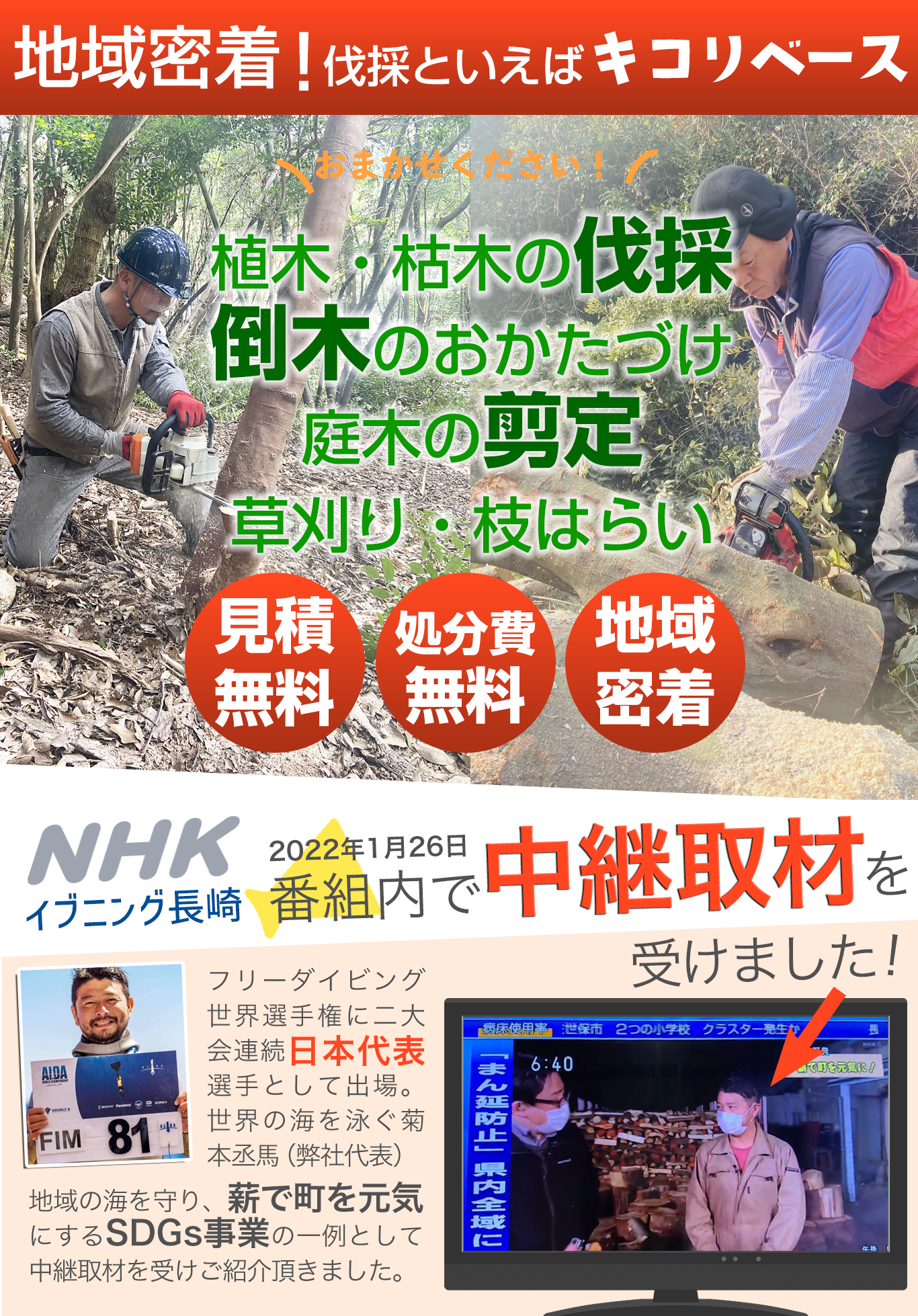 伐採か剪定を安価でお願いできる方いませんか？